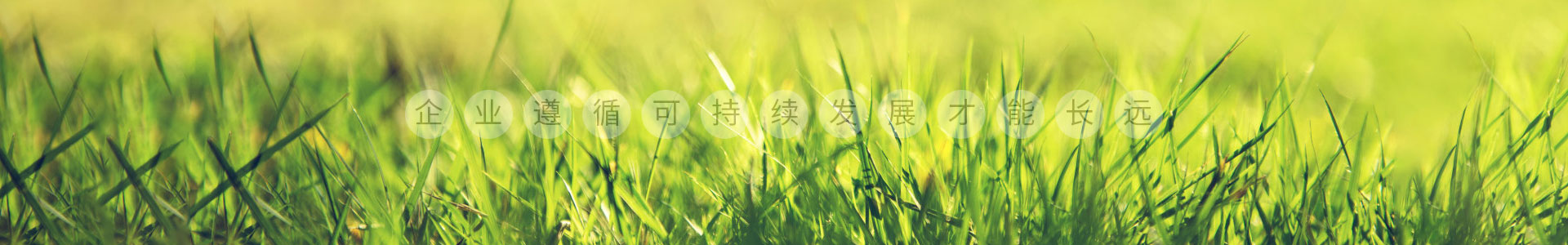 万搏网页版-万搏wanbo(中国)
